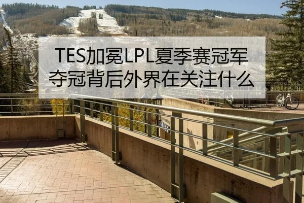 TES加冕LPL夏季赛冠军 夺冠背后外界在关注什么